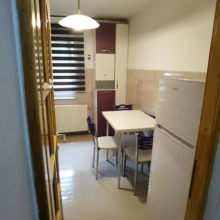 Apartment Studio Centru Civic *